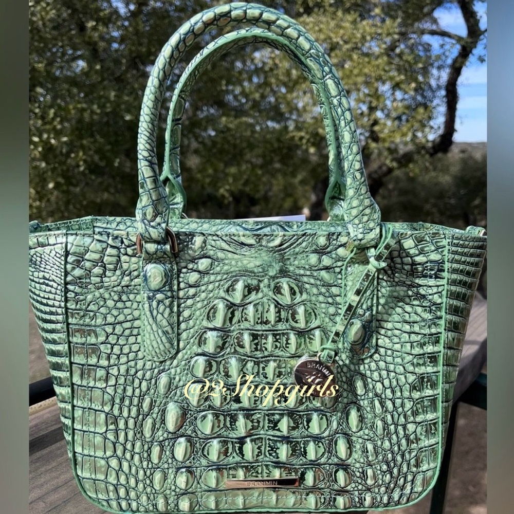 NWT Brahmin Small Ashlee AGAVE Melbourne Satchel/Crossbody#1